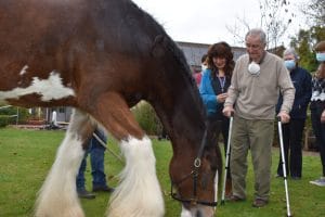 Day Services with Bruce