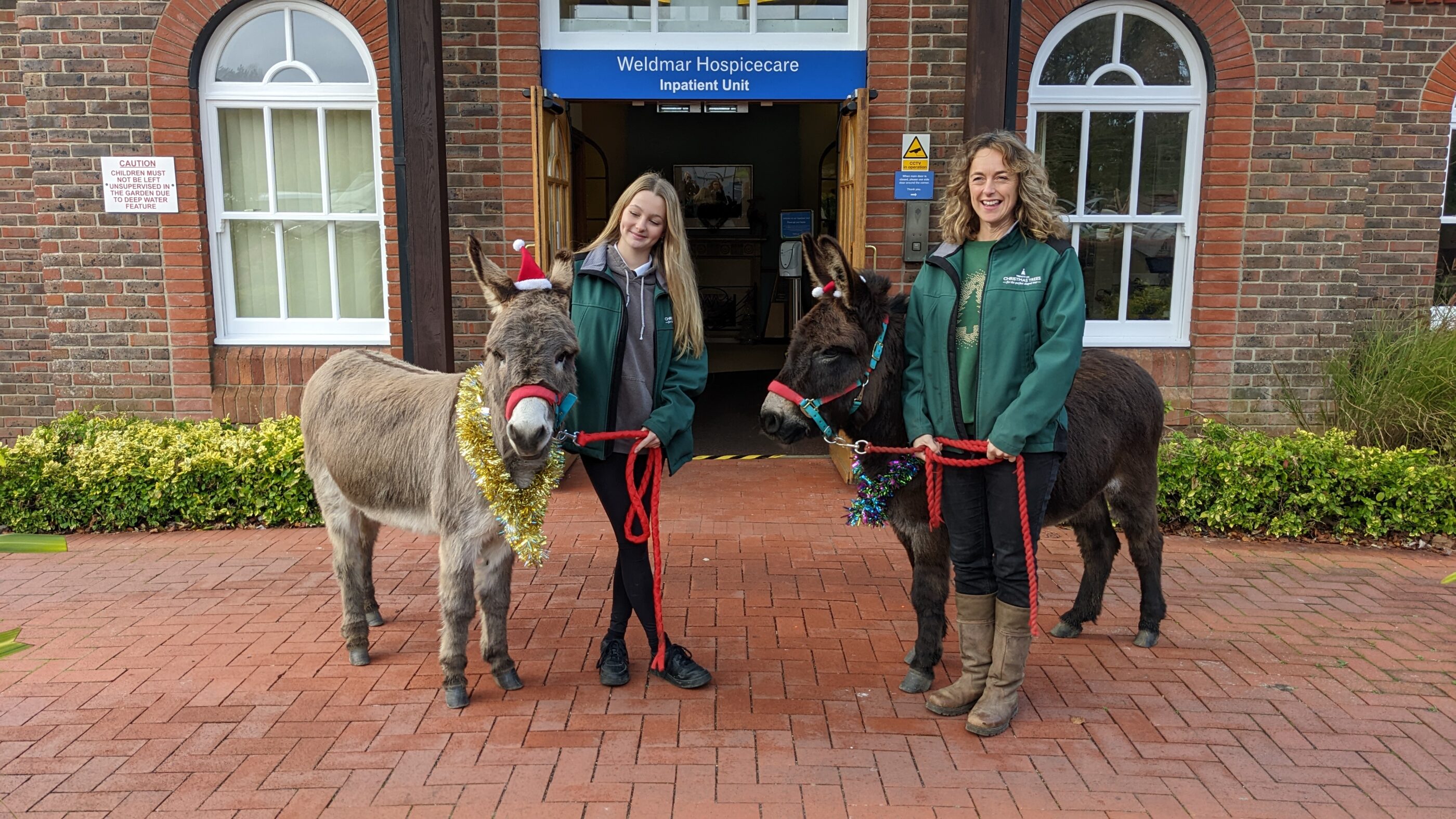 Donkeys Snoop and Albert visit hospice.