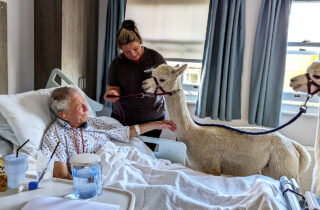 Alpacas Zeus and Wilson make a special visit to the Inpatient Unit and meet one of our patients