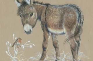 A drawing of a donkey with a robin sat on winter foliage on the bottom left of the card.